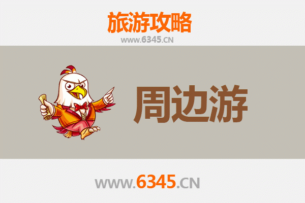 凉山金阳周边游攻略：探秘索玛花海与悬崖村奇景