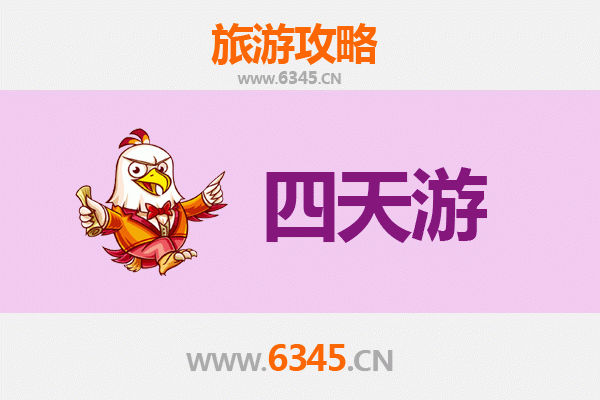 凉山金阳四天三夜深度游攻略：探秘索玛花海与彝族文化